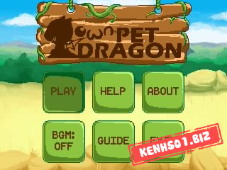Own Pet Dragon