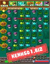 Plant vs Zombie